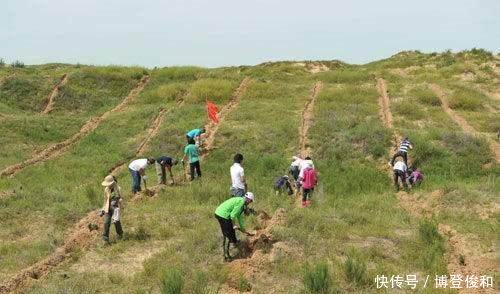 破坏环境的事例