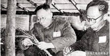 溥仪去办理户籍, 文化程度填初中! 工作人员 你