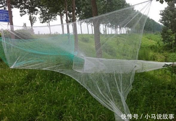 孙膑智斗庞涓的迷魂阵,被渔民用在捕鱼上,迷魂阵捕鱼完虐其他方