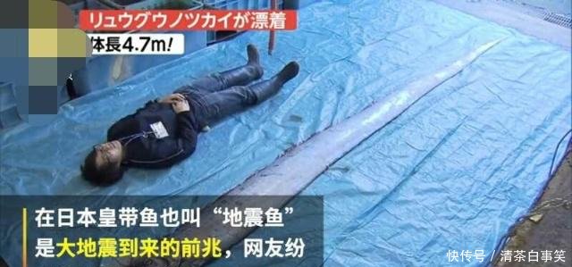 到底是不是大地震的前兆日本土惊现4.7米长的
