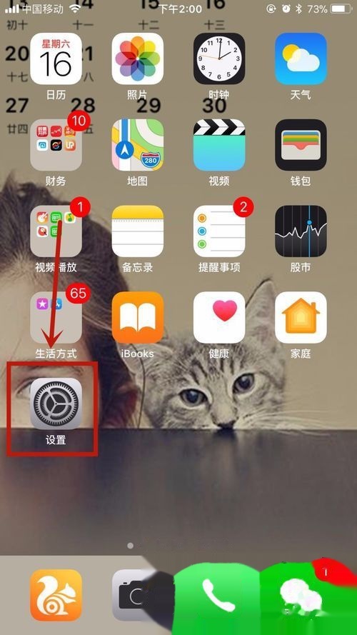 苹果小屏幕怎么关 t01574b549026326ea5.jpg