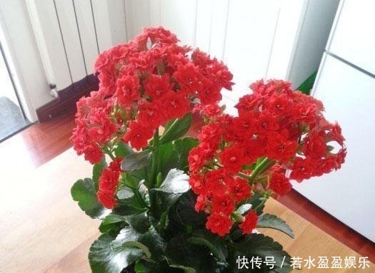 t0157ed72d116418600.jpg