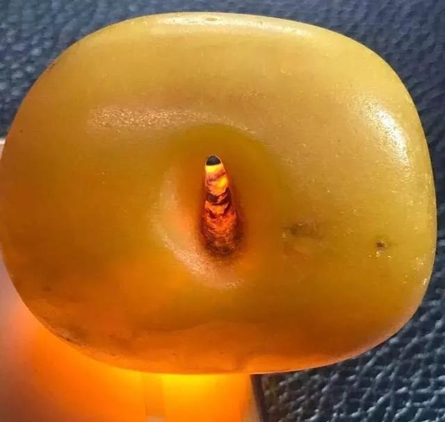 什么是琥珀蜜蜡?琥珀蜜蜡都有哪些品种?