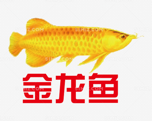 魚缸的水時間長有綠色（魚缸的水有點綠是好的么）