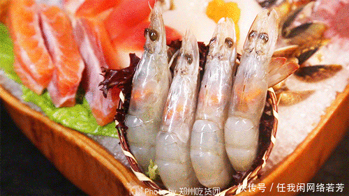 t0159b219c5c4528762.gif?size=500x281