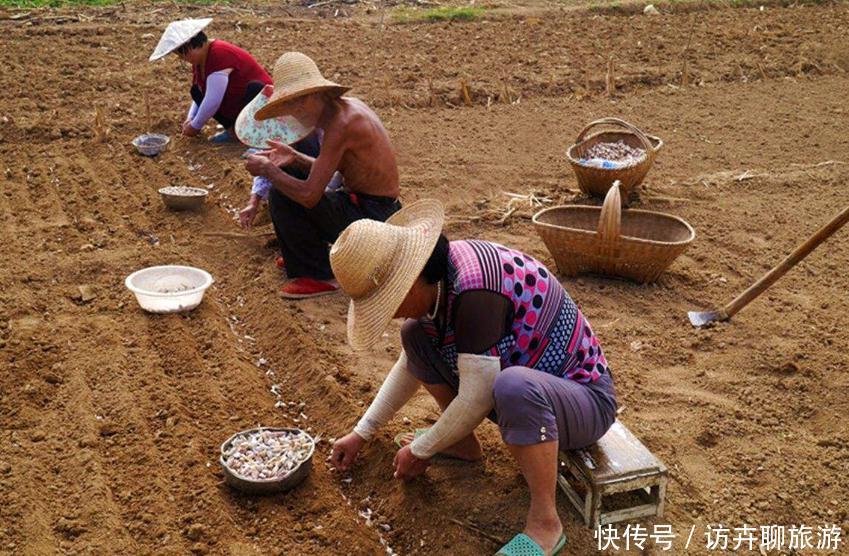 中国人可以免费获得俄罗斯荒地,却要答应这一