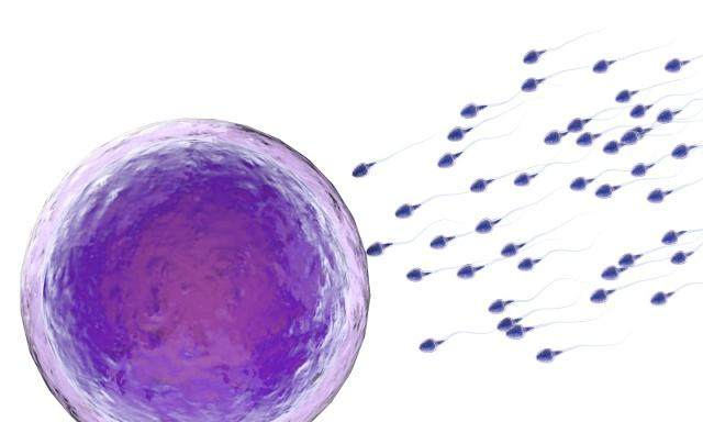 女人身体排出卵子,身体有这3个微妙变化,抓住