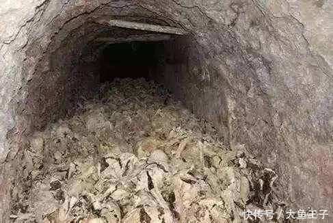 山西煤矿6万尸骨,知情人爆出惊天内幕,怒发冲冠不足已!