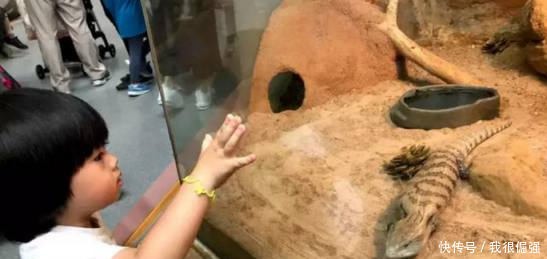 林志颖想要三胎,当谈到得知老婆怀双胞胎快昏