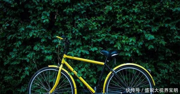 共享单车押金怎么退