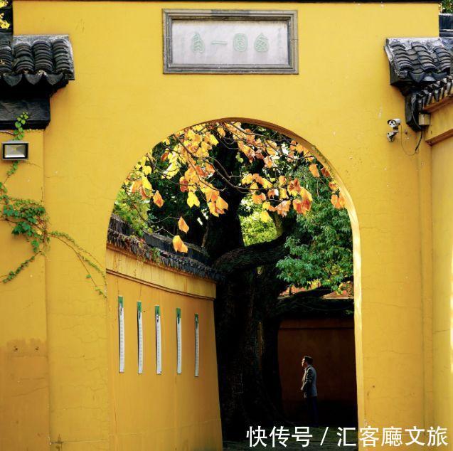 江浙沪又一网红打卡地!有轨电车穿过海棠花海,2元直达太湖