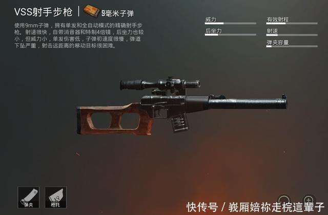 吃鸡武器排名_吃鸡武器大全大图(3)