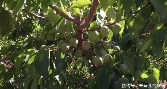 t015e1bbc683338ec53.jpg?size=640x341