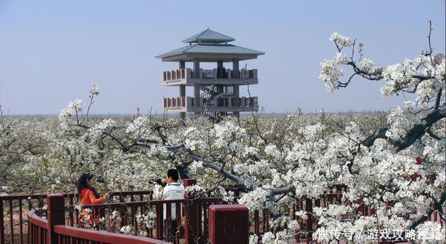 邯郸到郑州高铁