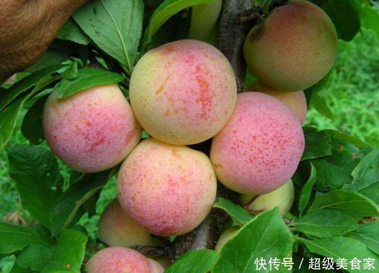 每天吃2个桃子,坚持7天后,身体出现了4大变化