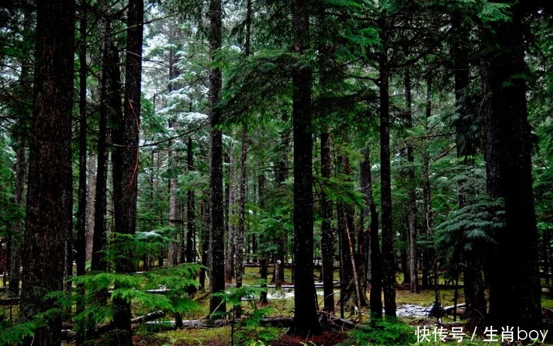 日子再穷也不用愁,4天之后3大生肖运势一飞冲天,成功翻身!