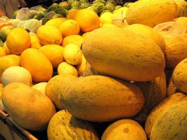 哈密瓜怎么选品种 t0162c11a3c2dc82e8f.jpg?size=640x480