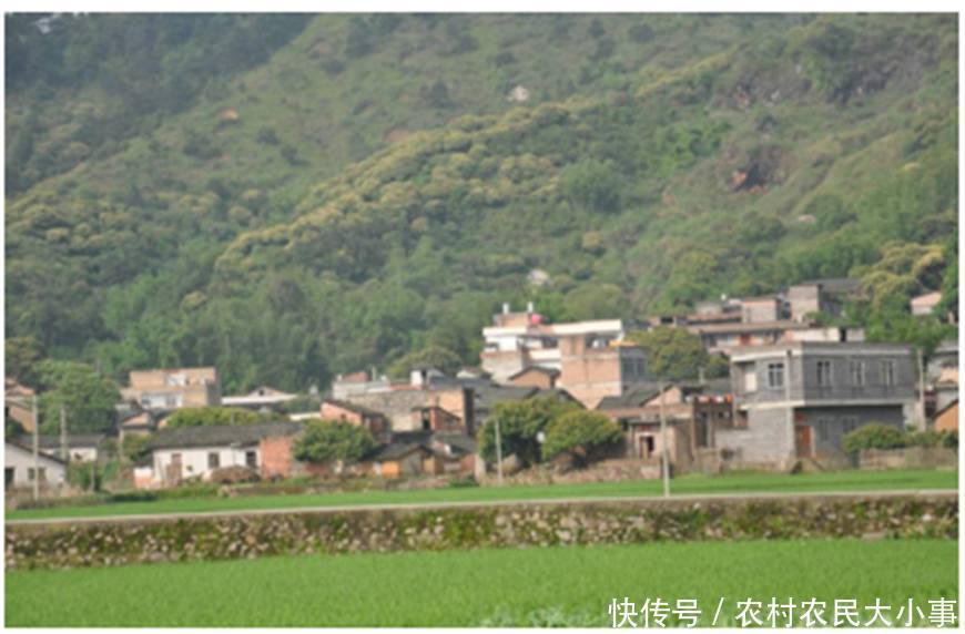 专家给出,为啥现在农村男子娶媳妇难