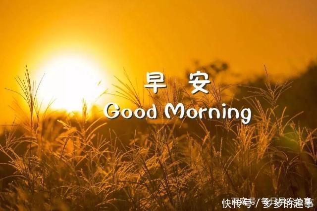 2018最新版漂亮早上好v表情表情图片图领导人搞笑会面动态最漂图片