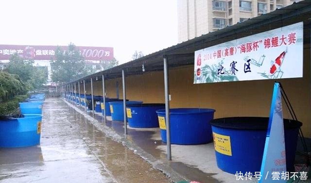 山东高唐砸钱15亿打造文旅小镇,10多个村庄面