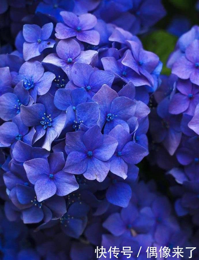 心理学:真正有本事的男人,往往会有这几种表现