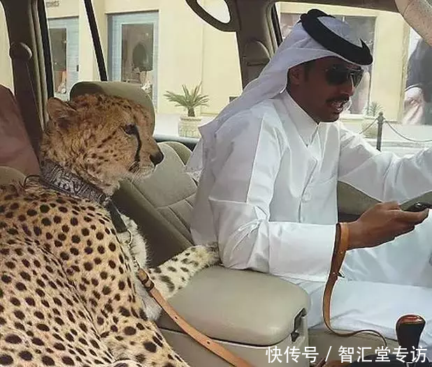 兰博基尼警车、疯狂的建筑、不可思议的宠物......这是迪拜人的生