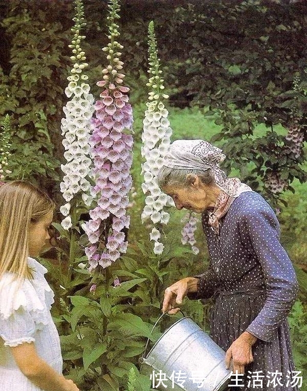 t0163be8b4175e00f38.jpg?size=600x765