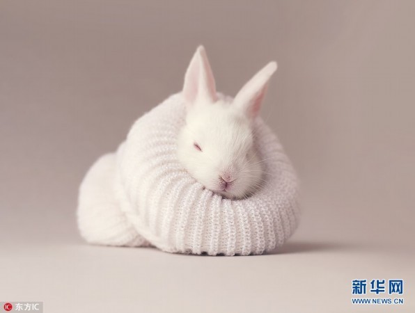 t01642a310212fb48f9.jpg?size=596x450
