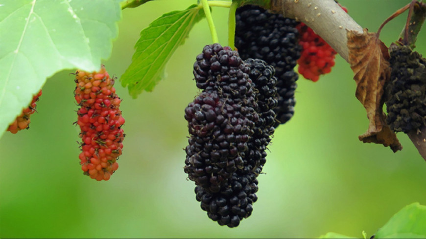 女人肾不好,身体会出现这3个变化,多吃这6种食