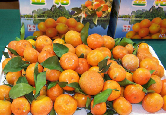 重庆可以种植砂糖橘吗_360问答