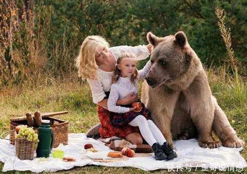 为什么这么多俄罗斯人养熊, 却没听说过有人被