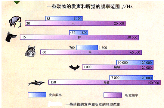 请教人的听音和发声频率范围