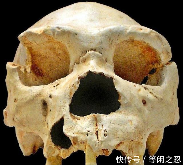 日本造假造进教科书,将自己的历史推前70万年