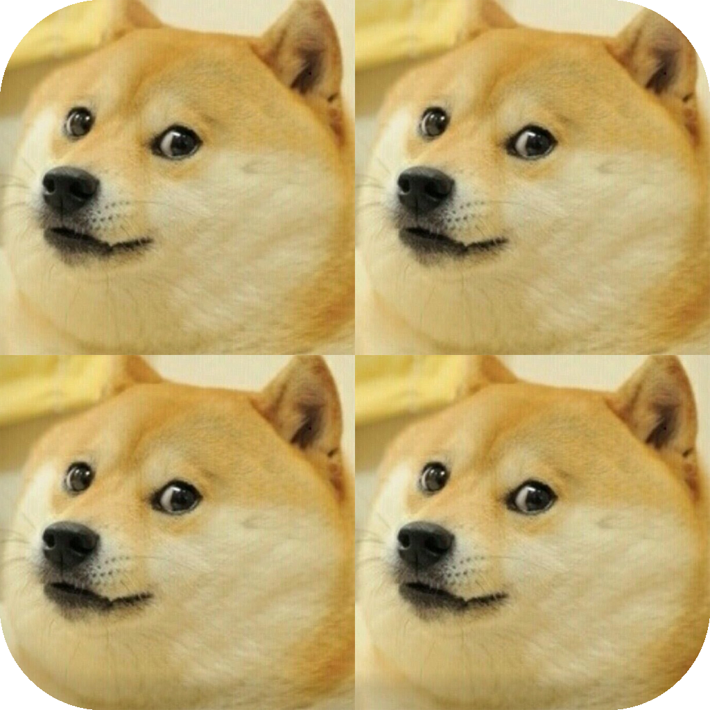 doge