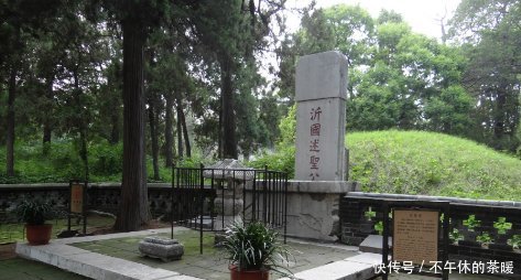 为什么山东曲阜孔林上不落乌鸦,下不招蛇?说了