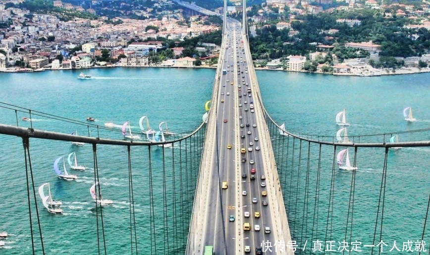 旅行社停止经营