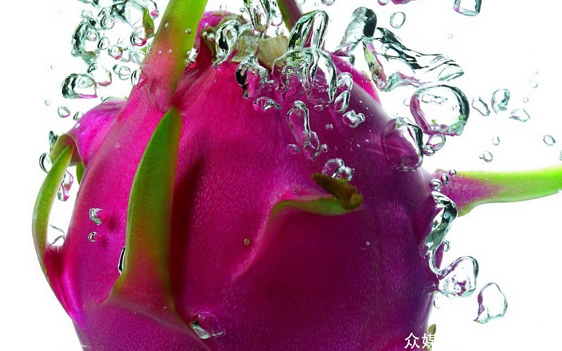 两招教你从外观一眼分辨 红心火龙果 和 白心火