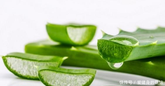 芦荟为何会叶子发黄这么好养的植物,你也能养