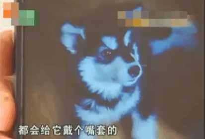 女子3月用了1600度电, 泣不成声, 房东: 你晚上干什么你自己清楚