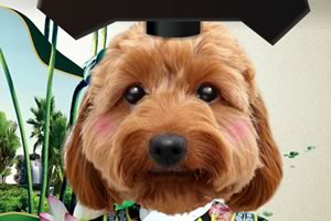 丽莎格格-官网、下载、注册、视频、图片、攻