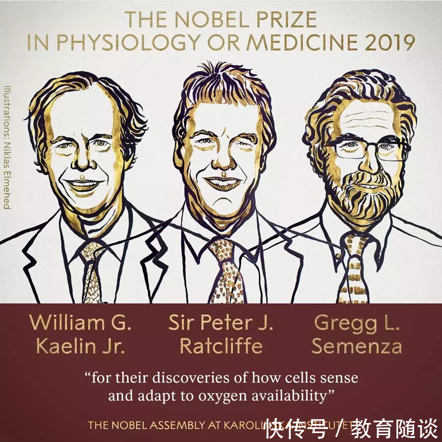 t016c68562a774382cf.png?size=892x892