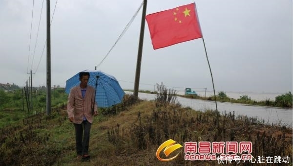 堤在,家就在!防汛冲在前,党员显初心 胜博发娱乐手机版登录