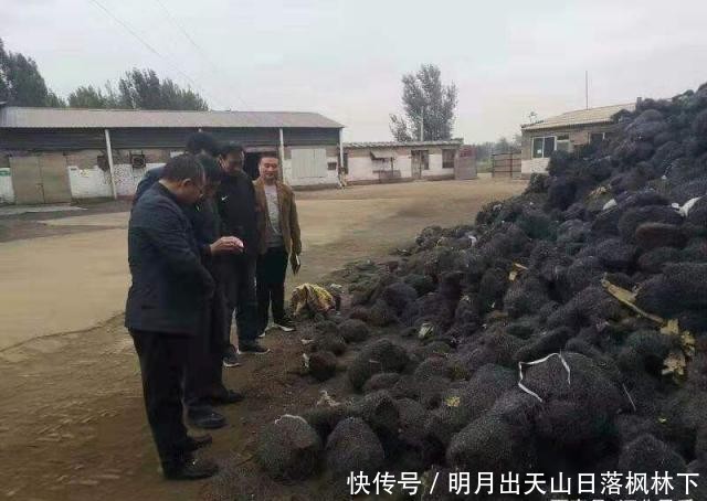 烟花爆竹安全落实情况