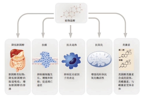 北京煙火科技有限公司（北京煙火科技有限公司官網(wǎng)）