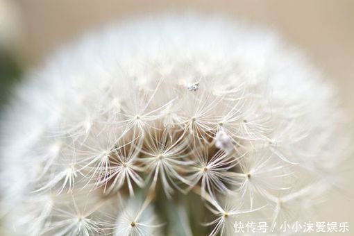 6月下旬，3生肖横财超多，点钞机都数不完，买车买房付全款！