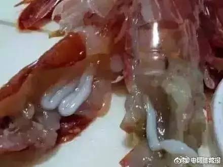 虾头扯出的"白线"是寄生虫吗?