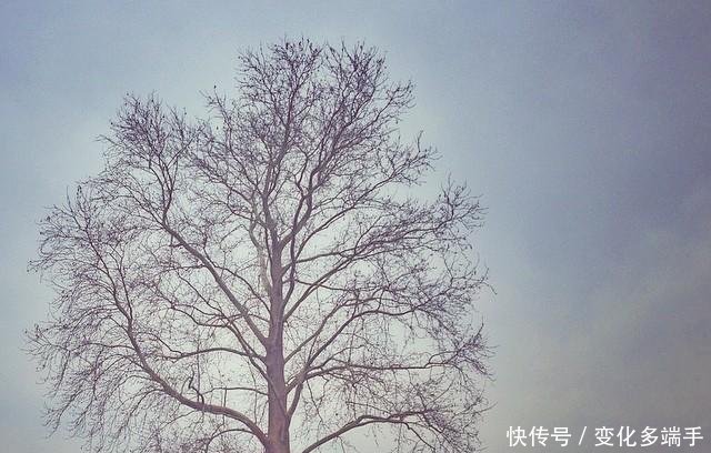 句句直戳人心的伤感句子, 句句扎心, 直击泪点!