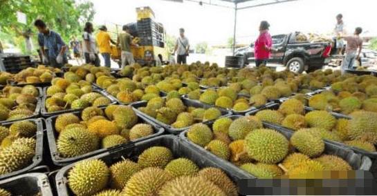 中国人到泰国旅游，买了5个榴莲10个芒果，结账时愣住了！