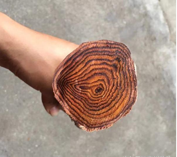 登录查看大图