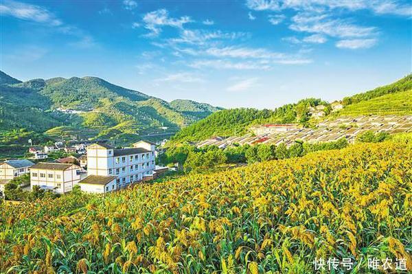 民建中央建议:以乡村旅游助力乡村振兴